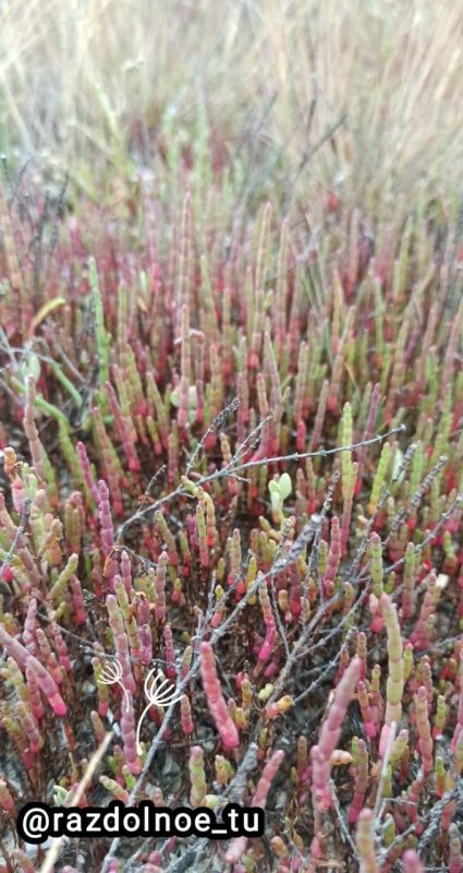 ������ ����!!!. ���� ����� �� ������, ����� �� ���� ����� ������� � ��� ��� ����� ������ ���������!