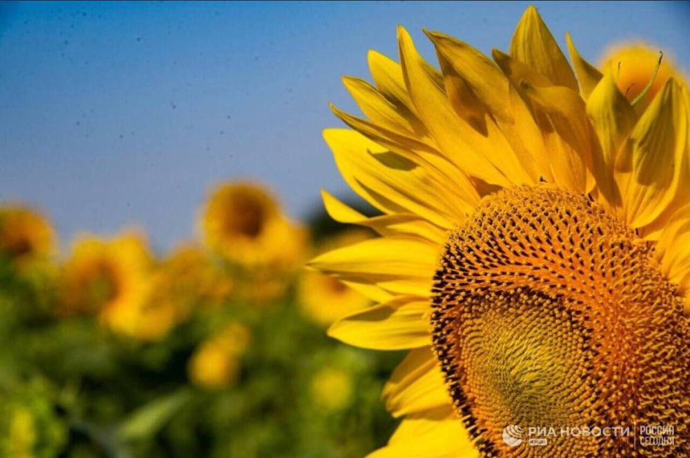 ������ � ����� �������� ������