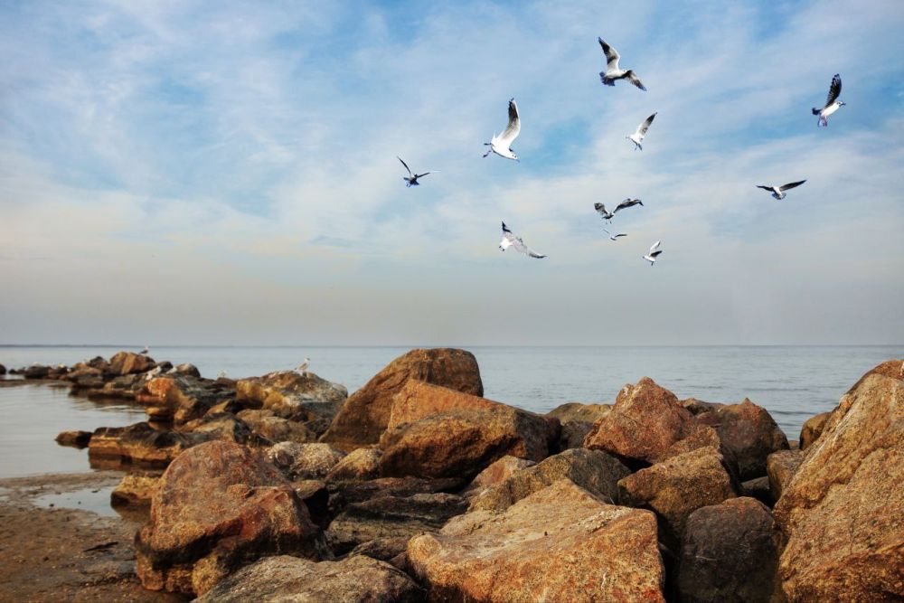 ������� ������! ��� � ������ ����� �������� ����� ������ ������������ ���� ������ - �������, ������������ ��� ���������