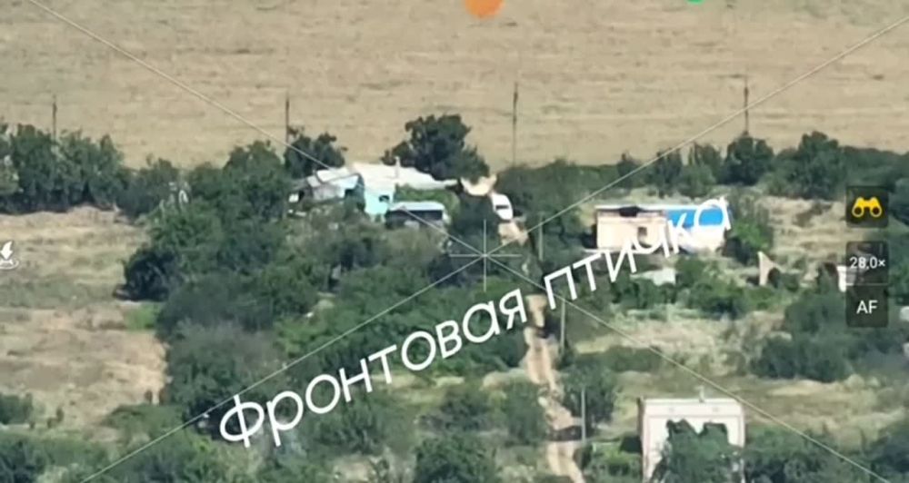 �� ���������� ����������� ���������� ������������� ������� ���