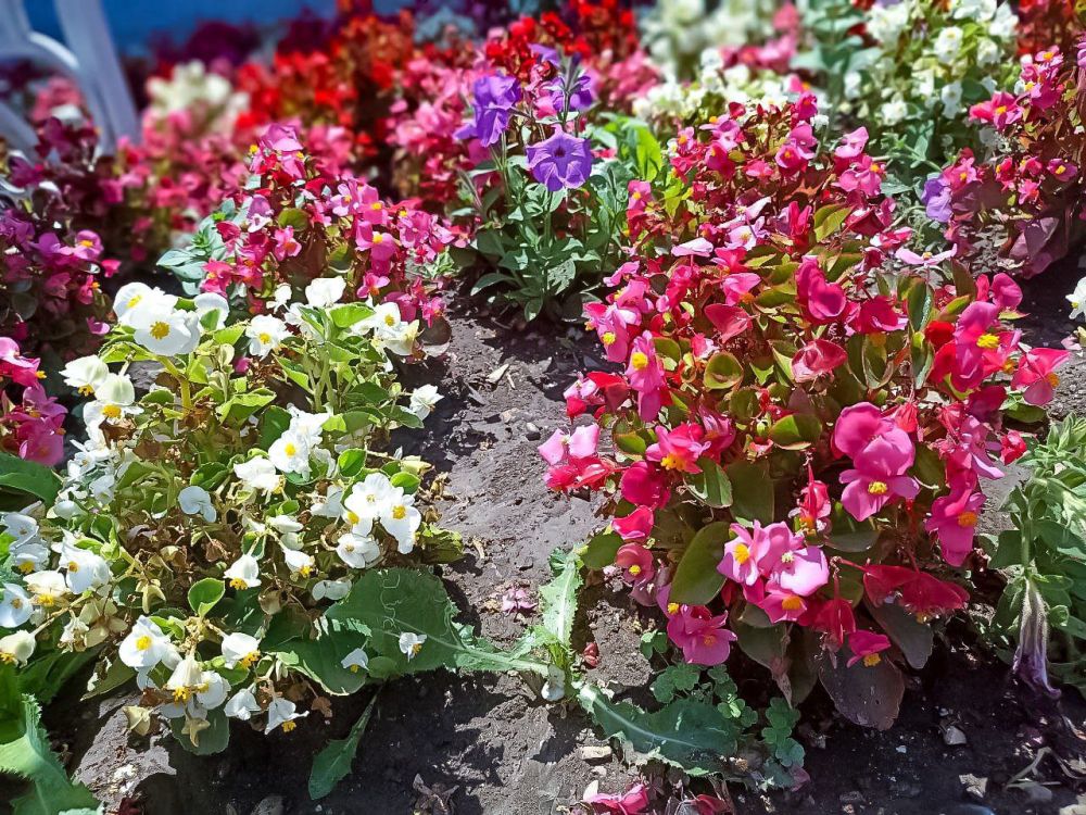 � ������ �����, �����������!