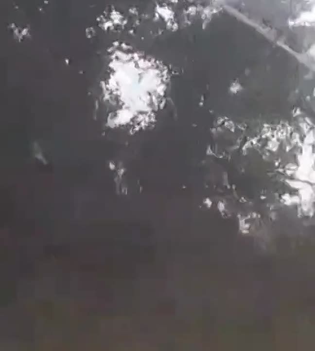 ����������� �����: ������� ������ "������������" - ������ �����