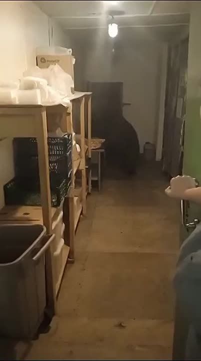 ������� �� �������� ��������� � ���� � ���� 125 ��������, ������� ������ ��� �������