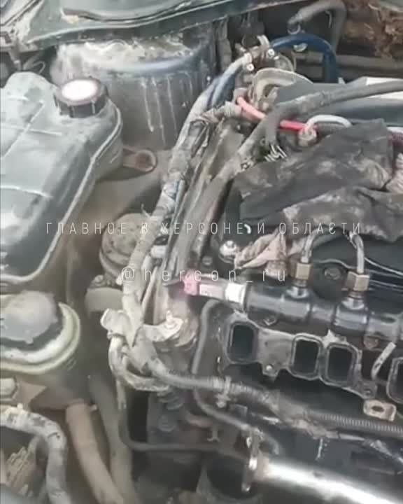 ������ �������� ��������������� ������� �������� ��������������� ��������� ����