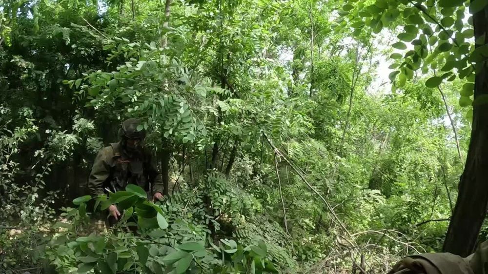 ���� �� �������: ������! ��� ������ ����� ����� ������� �������� �����������