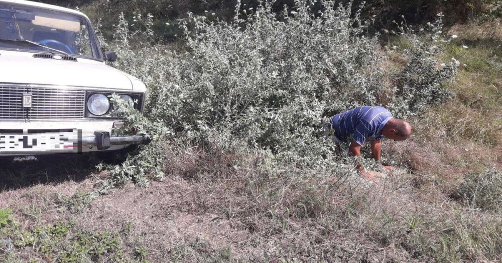 ������ �������� ������ � ����� � ���������� ������