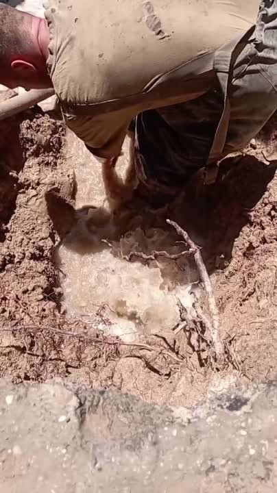 ��������-��������� ������ �� ���������� ������ � �. ��������