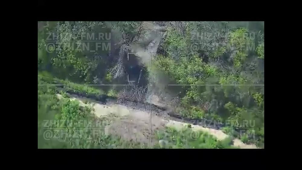 ��������� ��������� ������������� ����������� "������" ��������� ��������� ������ ����������� ����������