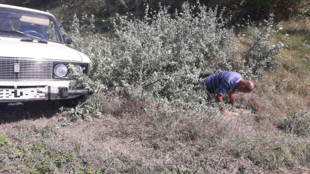 ����������� �������� ����������� ���, ��� ������� ���������� ���� 2106� ������ � �����