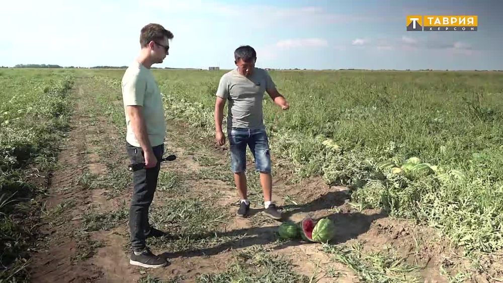 �������������� "������" ������, ��� �������� ���� ������ ������� �� ����� �� ����� � ���������� �������