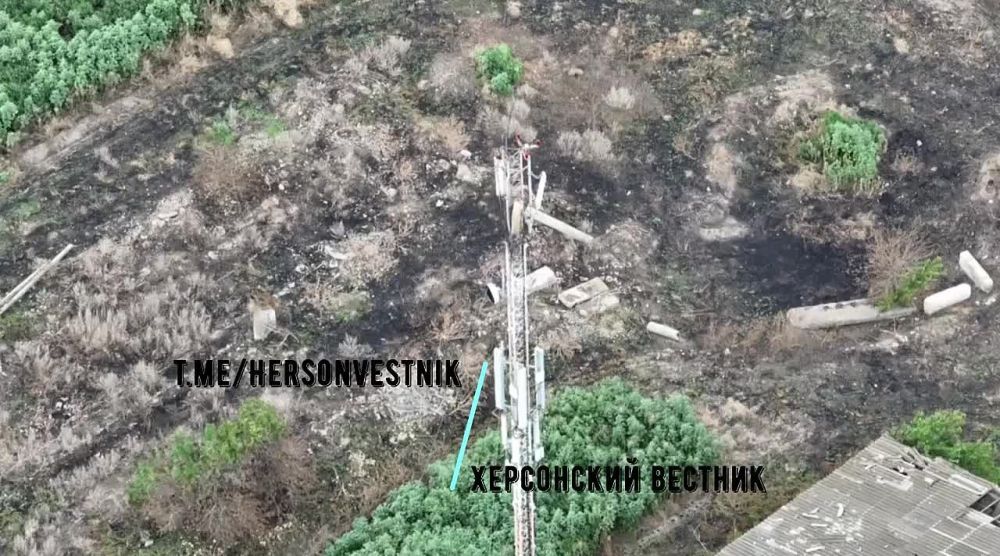 ���������� ����������� ����� ������ ���������� �� ������ ������ ���������� ������� ������� ������������ ��������� Starlink � ������� �����