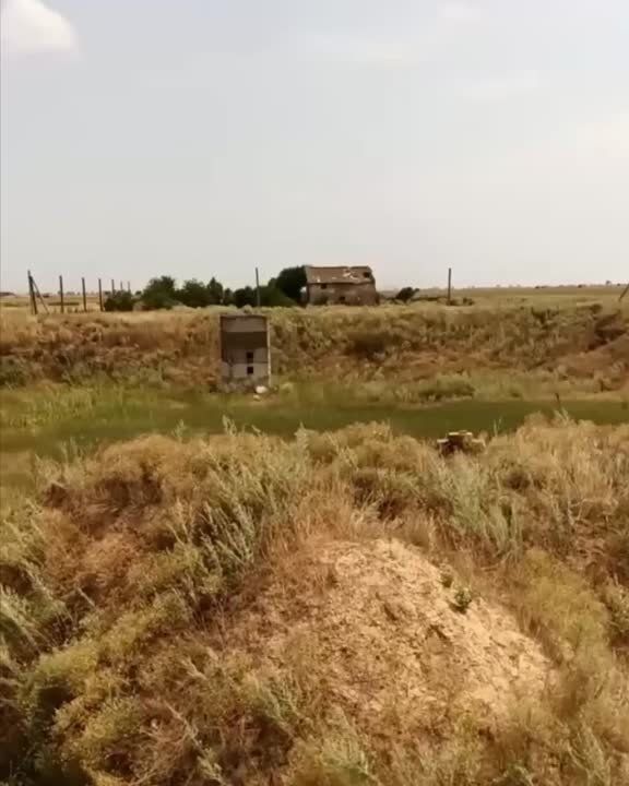 ���������� �� ���������� ��������� ����� � ������������ ���