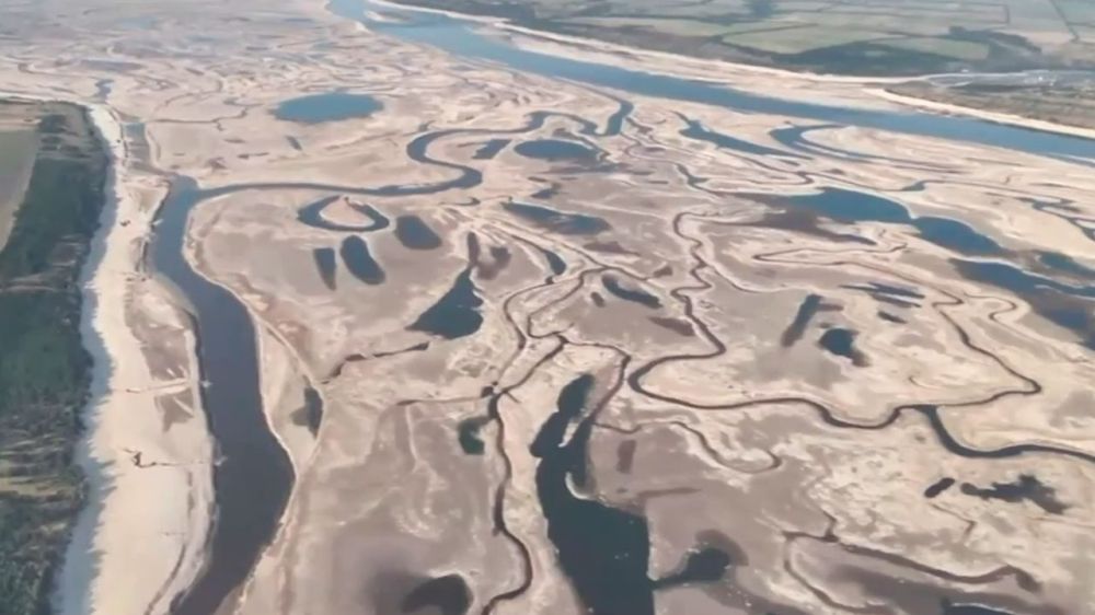 ������������� �������� ��������, ��� ������� ������-�������� ����� ����� ������� ��������� ���