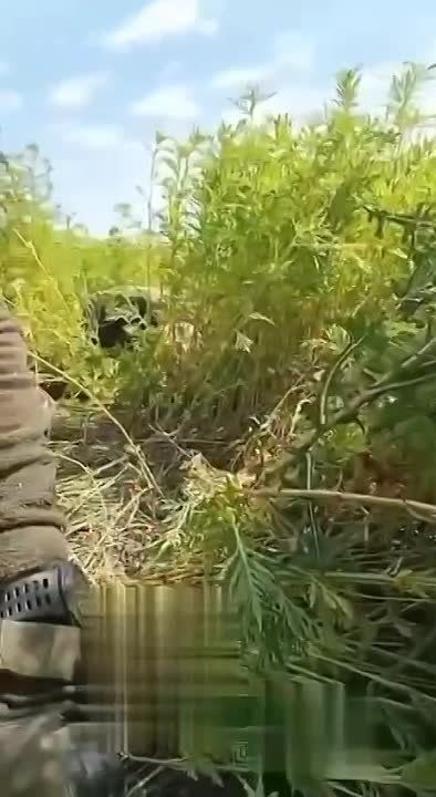 � � ���� ����� ������ �����