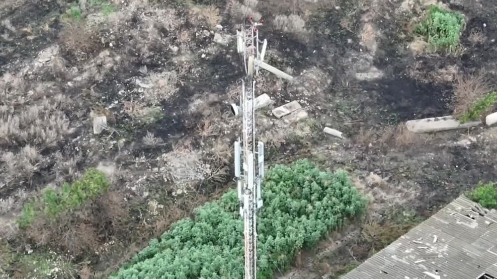 �� �������� �������������� ������������� ����������� ���������� ������� ��������� ��������� �������� ����������� � ��������� ���������� �����������