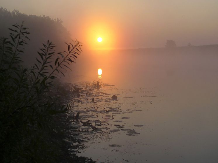 ��� �������� ����� � 10 ������� ��� ������� ������������ ������