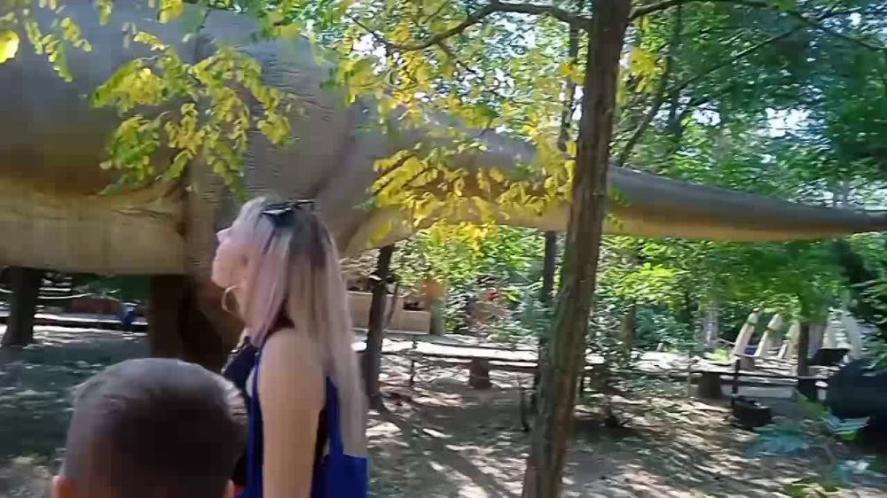 ����� � ��������������� ������ � ��������� �������� � ����� � ������ ����� ���� �� ����������� ������ �������� �����