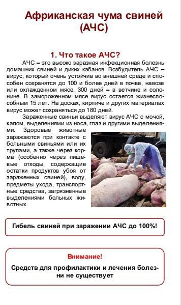 ����������� ���� ������