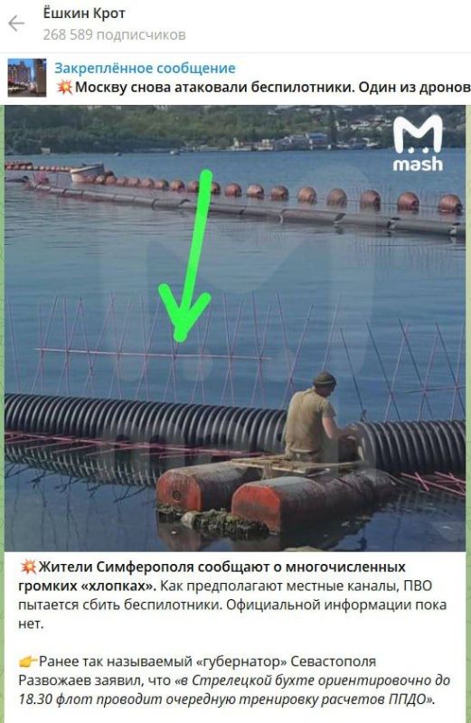 ����: � ����������� ���������� ����� �������, �������� ������������� Telegram-������