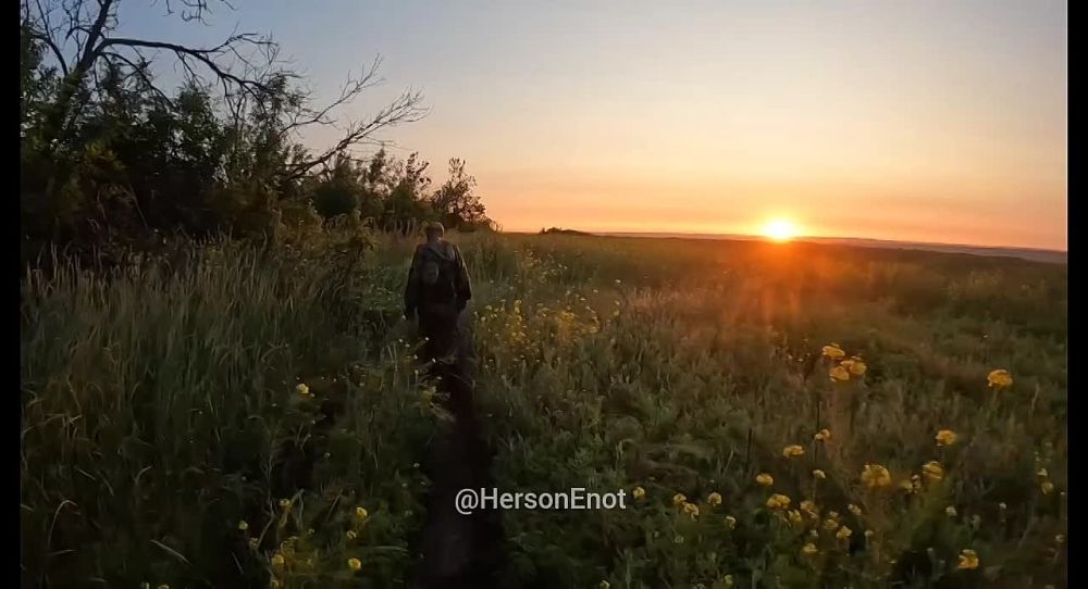 ���� �� �������: � �� ����� ������ �� ����?