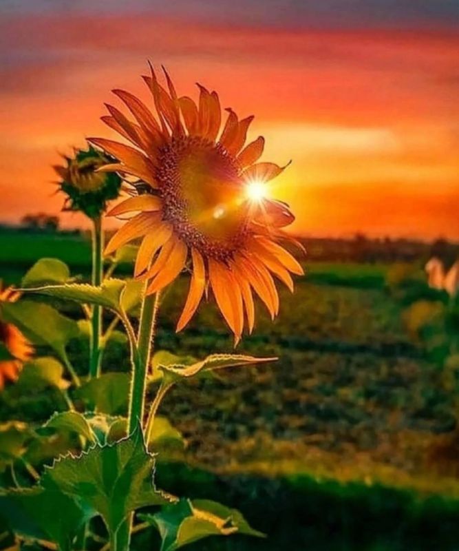 �������� ������� ���!