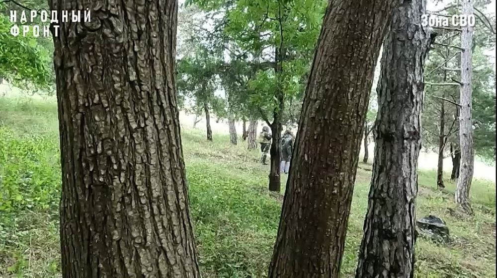 �������� �������� � ���� ��� ������������