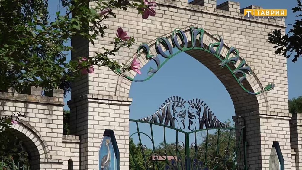 � ���������� ����������� "�������-����" ������ ������� ������������ ��������� ������-������� ��������