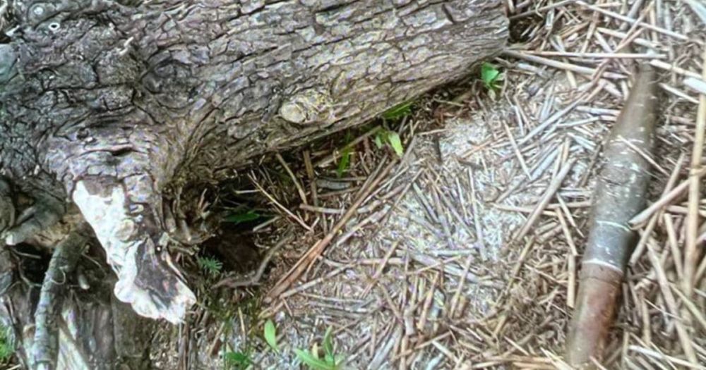 �������������� ������ ���������� � ���������� ������