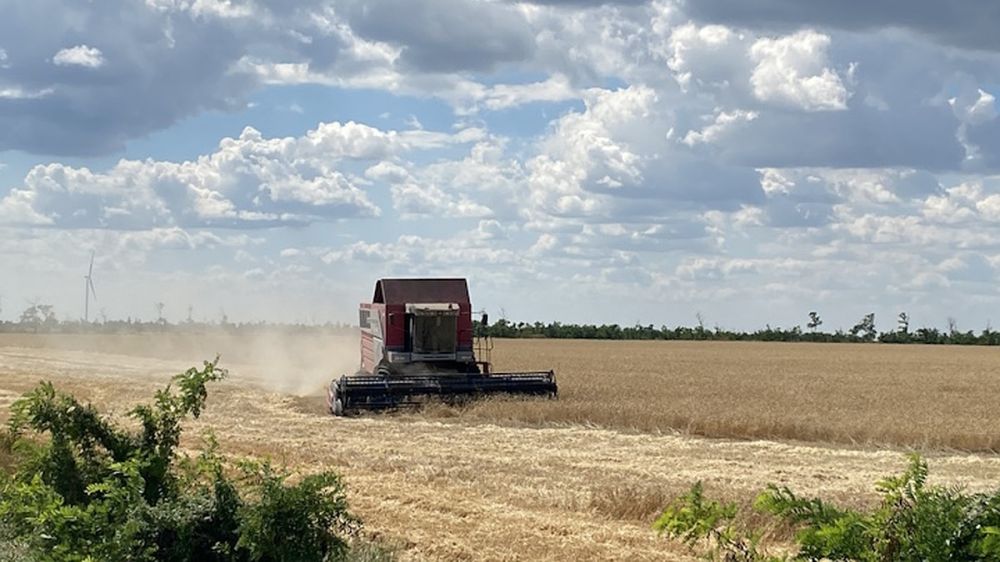 ������ ����� ���������: �� ���������� ������ ������� �����