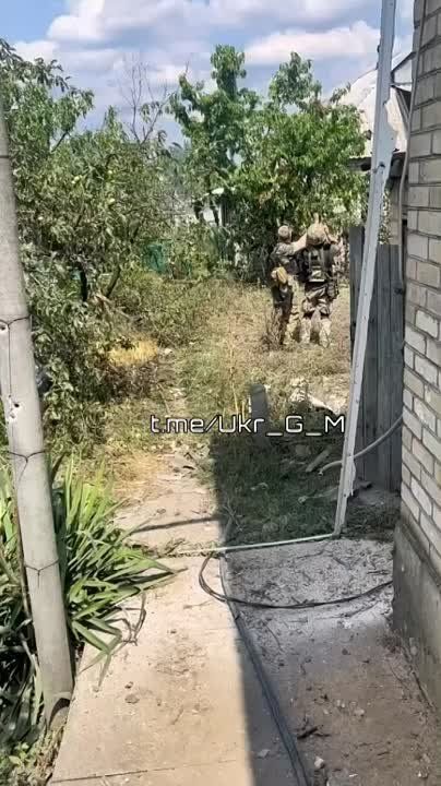 ��������� �������� ���� ������ �������, ��������� ��� ������� �����, �� ����� � ������������