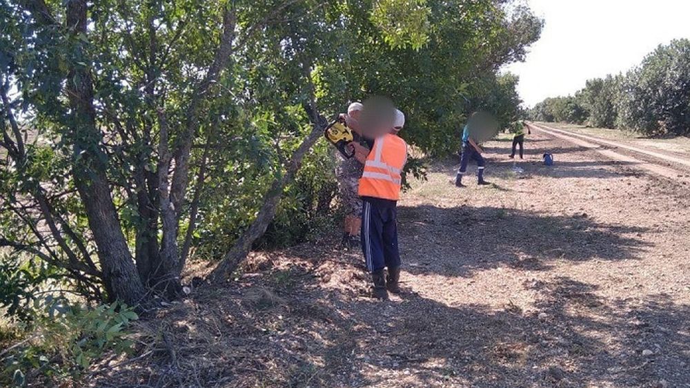 �� �������� ���������� ��������� � �������� � ������� ��������� �������