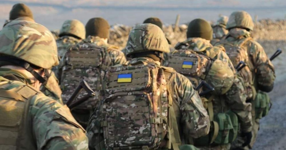 ������������� � 20 ����������� ��������� ���������� �� ��������� �����������