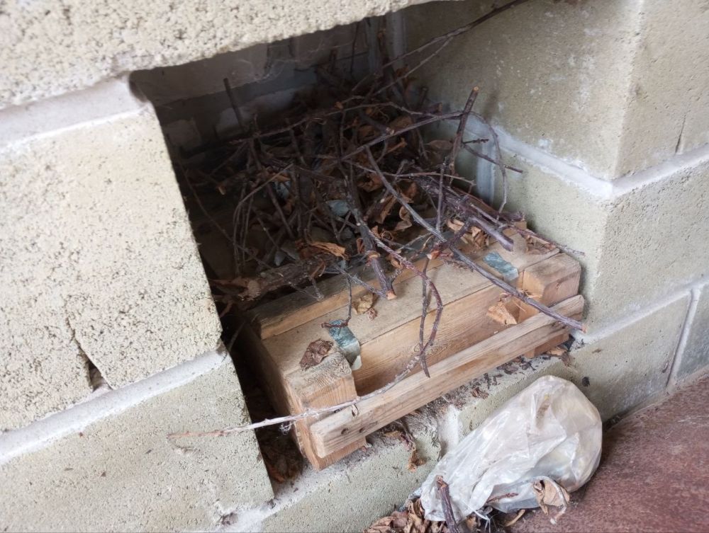 � ���������� ������� ����������� ���������� � ���������� ���� ����� � ������������