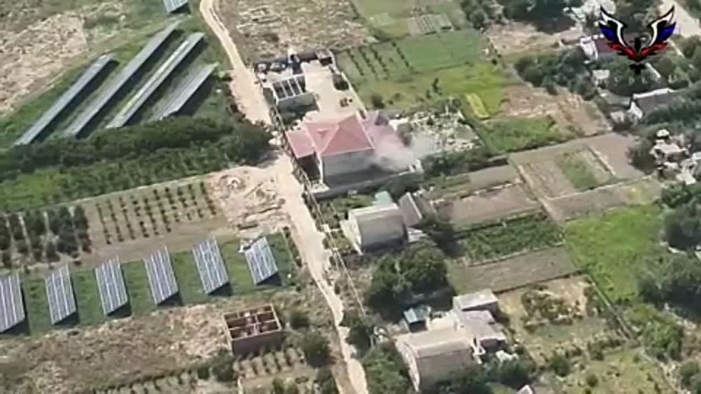 ���������� �����������. ������ ���������� ���������� ��� �����