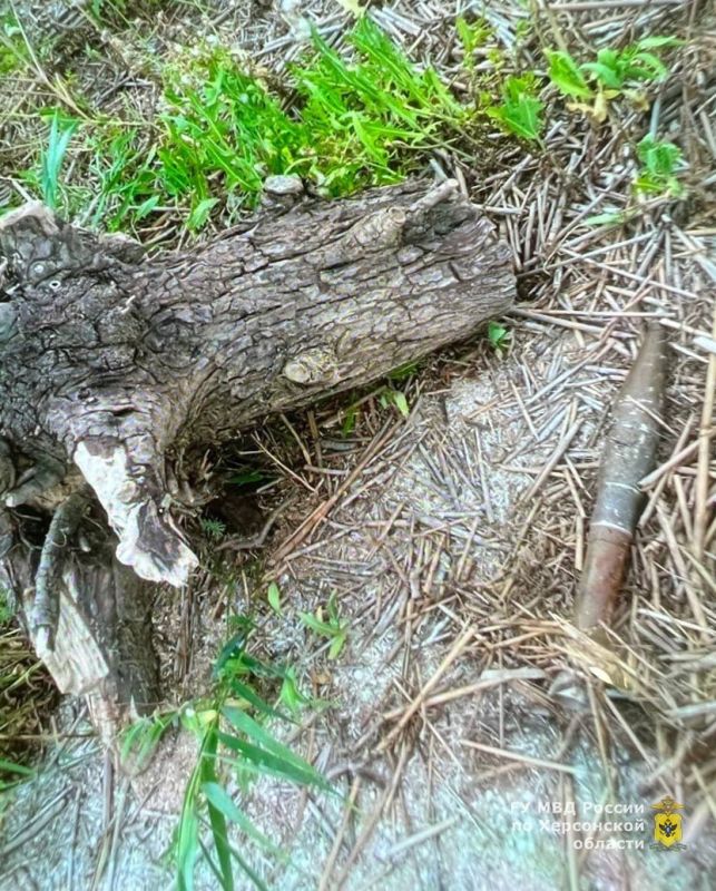 � ���������� ������ ���������� ������� ���������� ������� ���������� �������������� ������