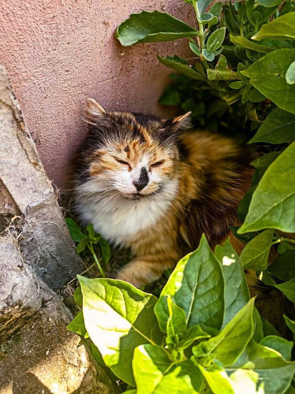 ������ ����, �����������!. � ������ ����� � ������������ ������� ������������ ���