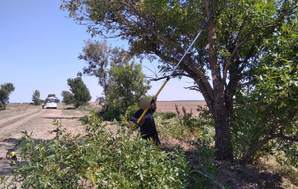 ������ �� ��������� ������� �� �������� ������������� ����� ����������