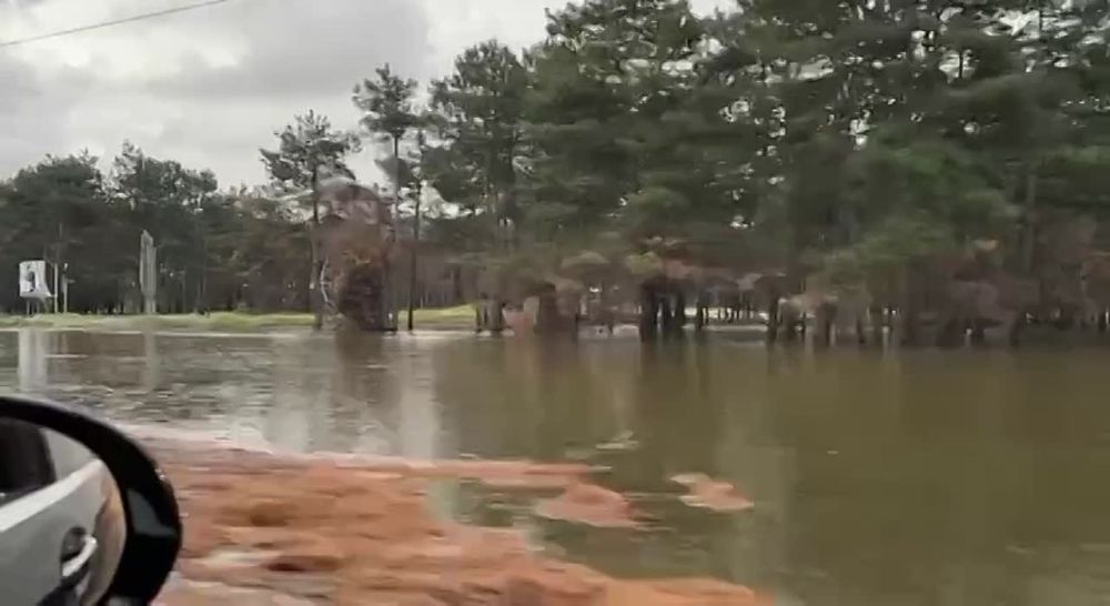 � ������ ������. �� ������ �� ����� ��������