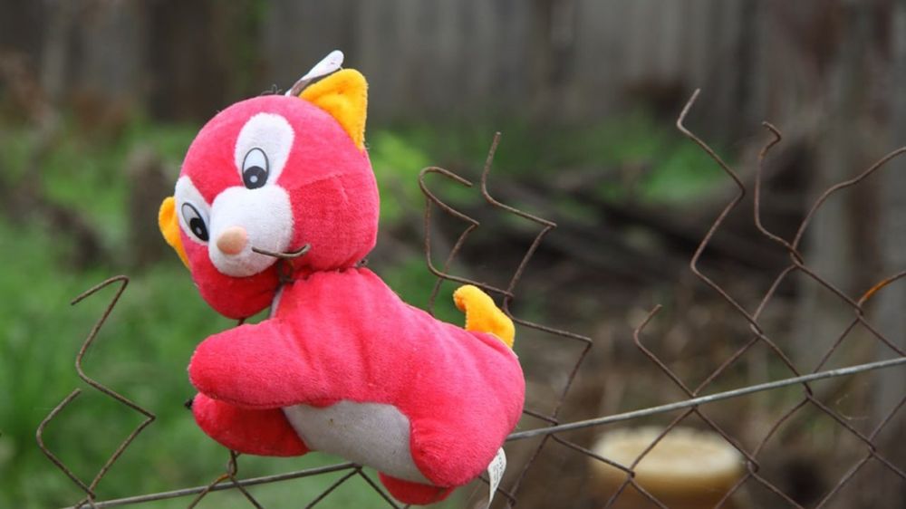 ������ � �������, ������� � �����: ��� ������ ���������� � ����������� ����� ��������