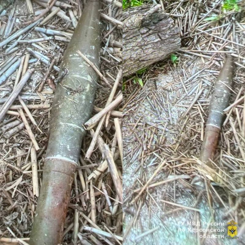 � ���������� ������ ��������������� ���������� ��������� ���������