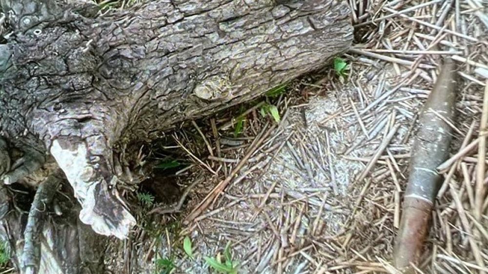 � ���������� ������ ����� � ������ ����� ��������� ������� 73 ��