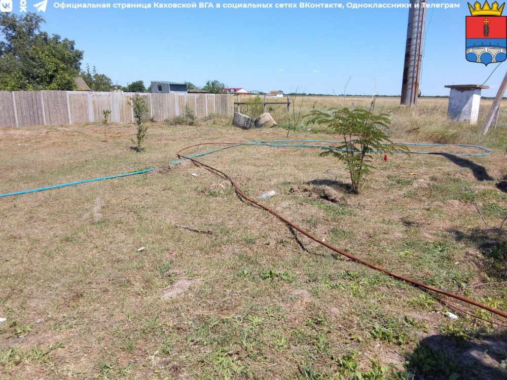 ������������ ������� �������� � ������� ������� � ���������� �������� ���� � �. ������� ����� ���������� ��