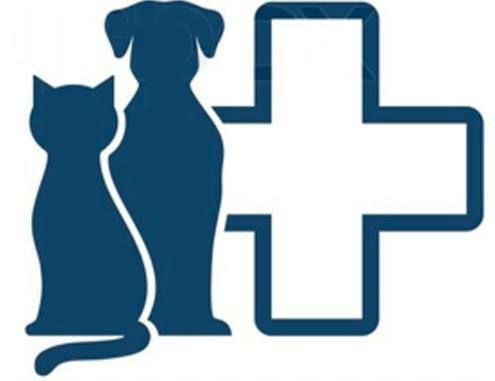 ���������� ����������� ����� �����������