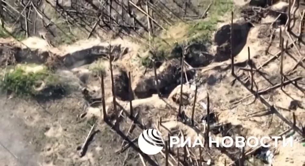 � ���� ��� ����� ����� �� ��� ���, ������� �������� �������, 2 �������