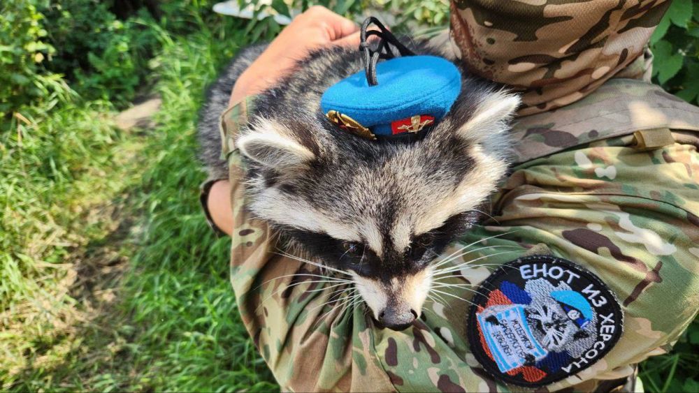 ���� �� �������: ����� ��������� ����� ��������� � � ������������� ����������