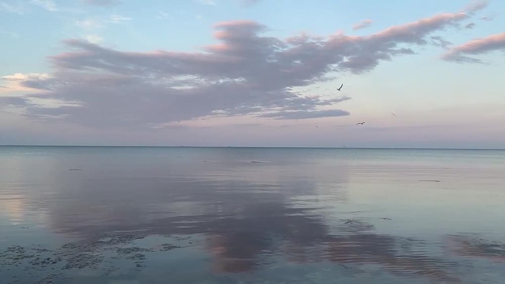 ������������ ���� ��� �������� �����