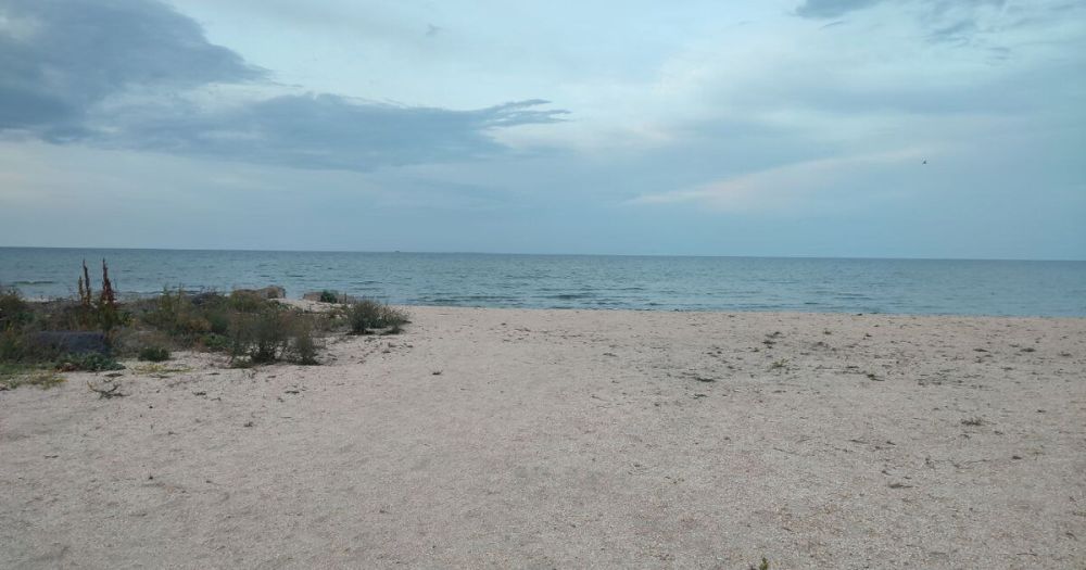 ������� ���� ���������� ������� ��������� ����� ������