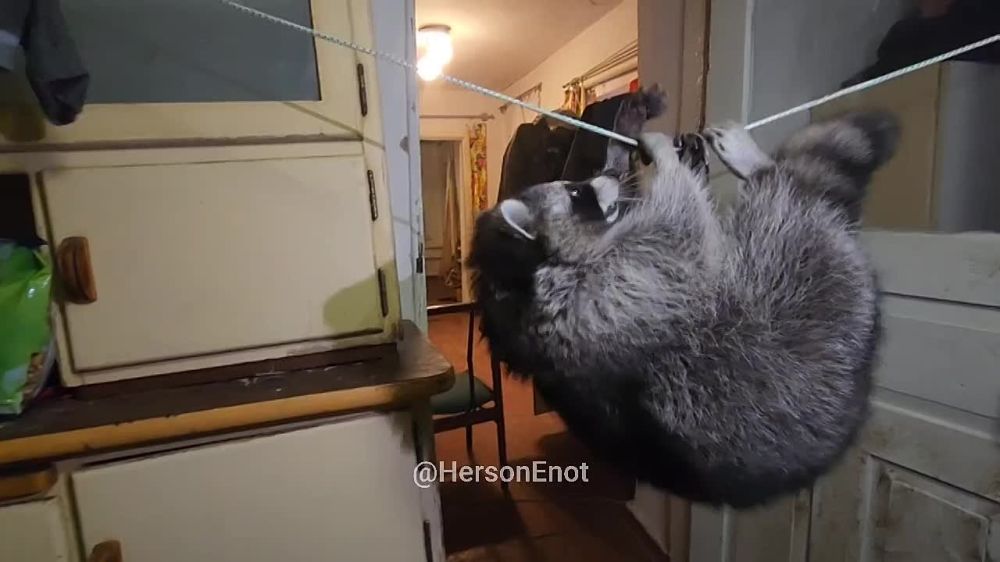 ���� �� �������: ��������� �� ��� ��� �� �����