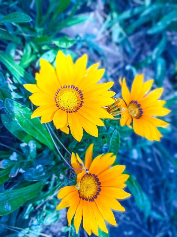 � ������ �����, �����������!