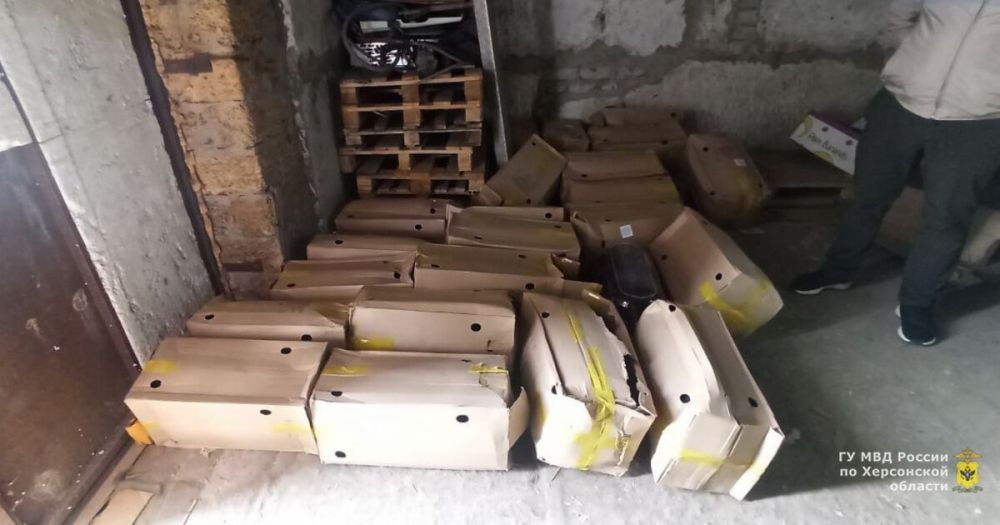 �� ���� � ����������� ������ ����� ����� ��������� ����